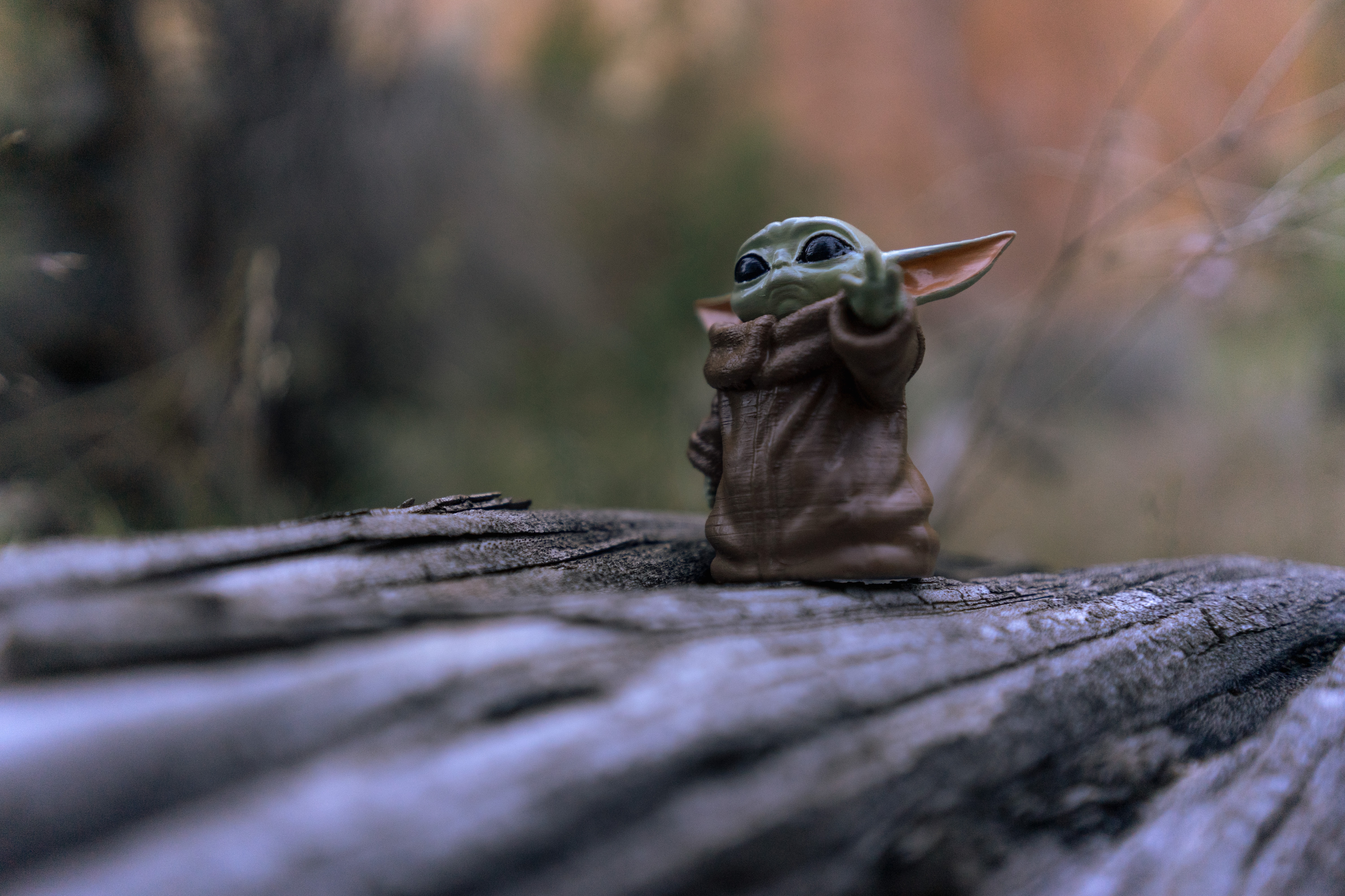 A Love Story, Yoda Style: Journey of Endearing Connections