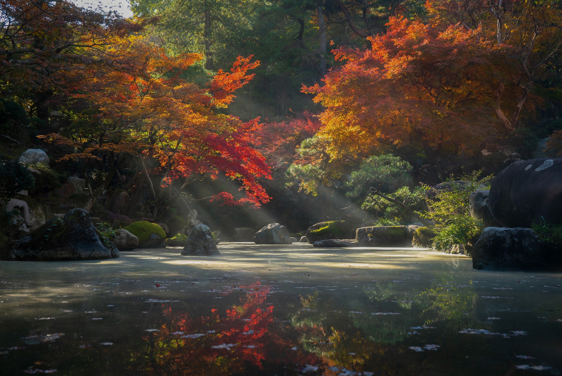 The Yogi and Zen Way of Mindfulness